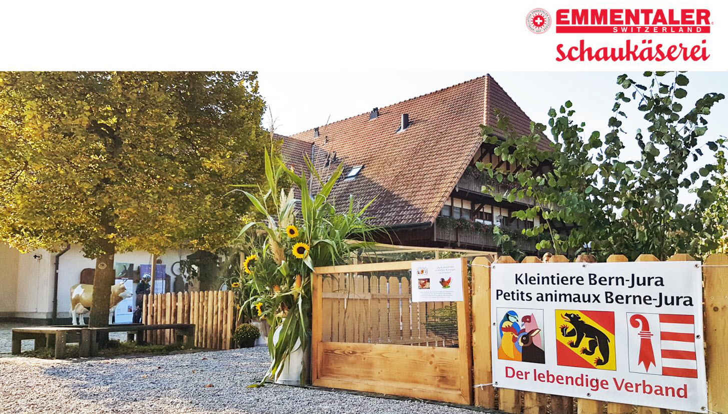 Kleintierpräsentation bei der Emmentaler Schaukäserei