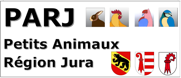 Anmeldeunterlagen Ausstellung Delèmont